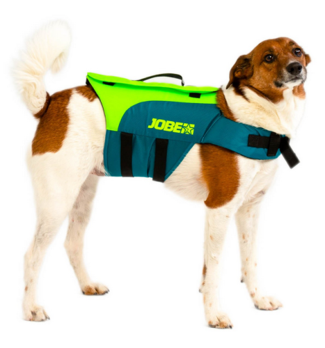 Kapok dla psa Jobe.png