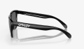 Okulary Oakley Frogskins Matte Black wPrizm Black2.png