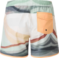 Spodenki Boardshort Picture Demba Mirage2.png