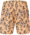 Spodnie Boardshort Picture Piau 15 Palmt2.png