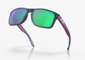 Okulary Oakley Holbrook TLD GmPurShft wPrizm Jade3.png